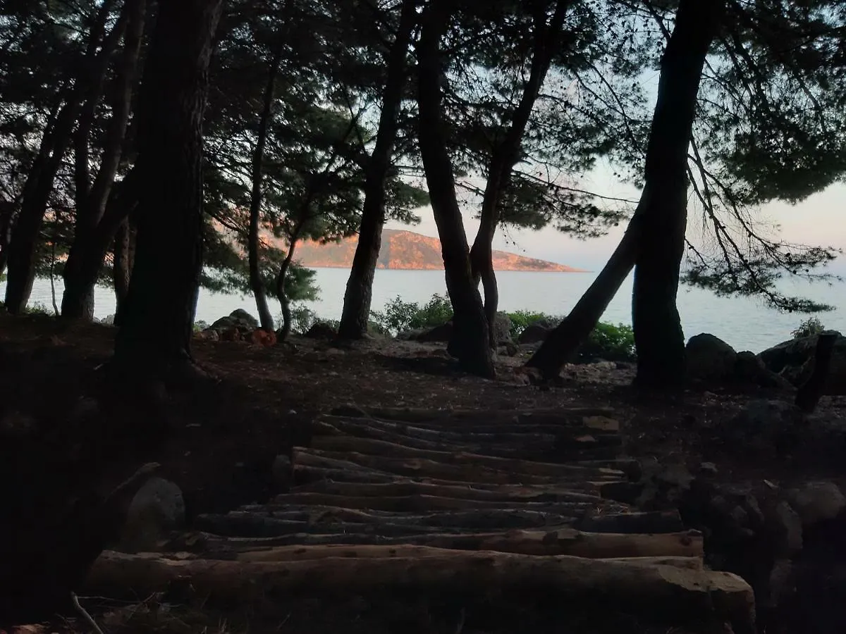 Campsite The Sea Cave Camping Himare Albania